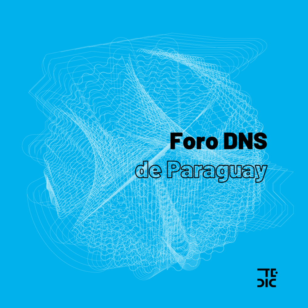 Flyer con fondo celeste y texto "Foro DNS de Paraguay"