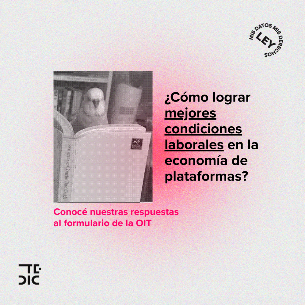 Flyer con imagen de un pájaro leyendo un libro y texto ¿Cómo lograr mejores condiciones laborales en la economía de plataformas?